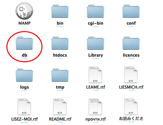 db folder